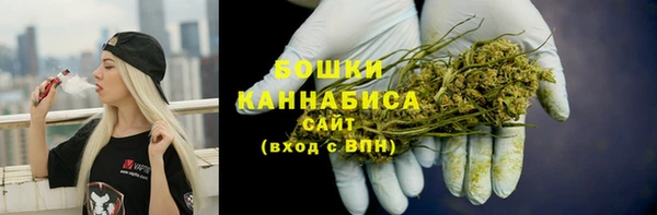 амф Бронницы