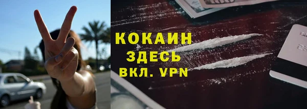 эйфоретик Бородино