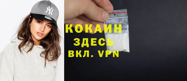 эйфоретик Бородино