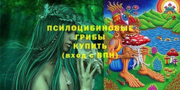 амф Бронницы