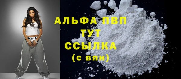 эйфоретик Бородино