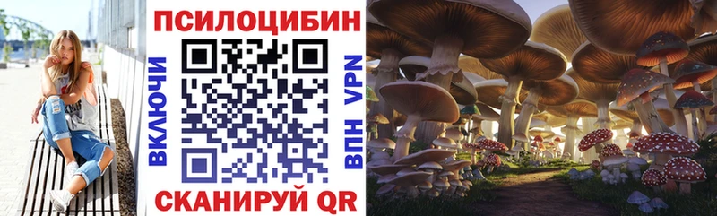 Купить  Качканар  Псилоцибиновые грибы прущие грибы 